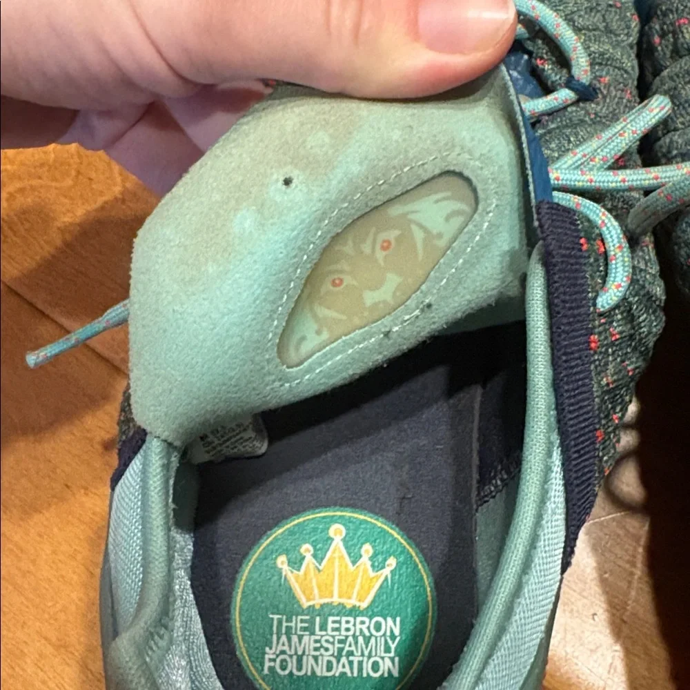 Nike Lebron gently used